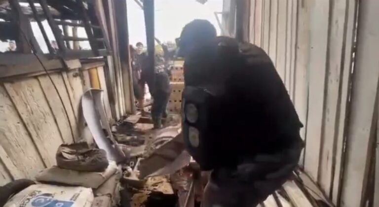 Polícia Civil Resgata Cadela e Filhotes Presos em Escombros no Paraná Polícia Civil Resgata Cadela e Filhotes Presos em Escombros no Paraná