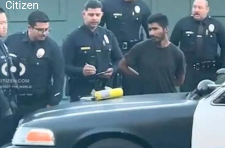 Homem é Preso Suspeito de Iniciar Incêndio em Los Angeles