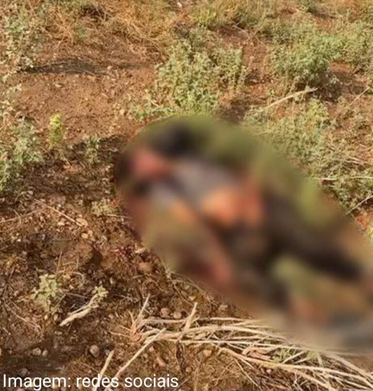 WhatsApp Image 2025 01 10 at 22.14.31