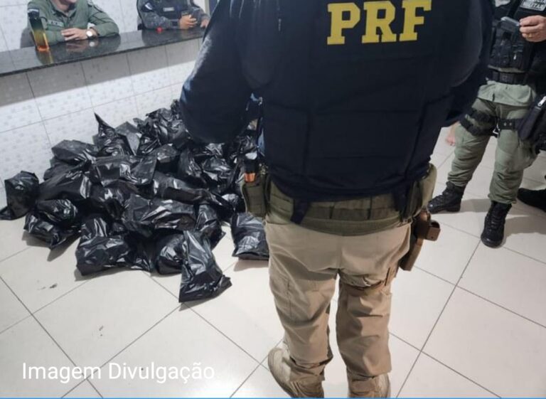 Fuga, Persequição e flagrante: PRF e BIEsp apreendem 45 kg de supermaconha e Caruaru Fuga, Persequição e flagrante: PRF e BIEsp apreendem 45 kg de supermaconha e Caruaru