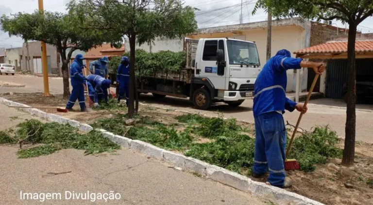Zona Rural de Petrolina recebe força-tarefa de Limpeza Zona Rural de Petrolina recebe força-tarefa de Limpeza