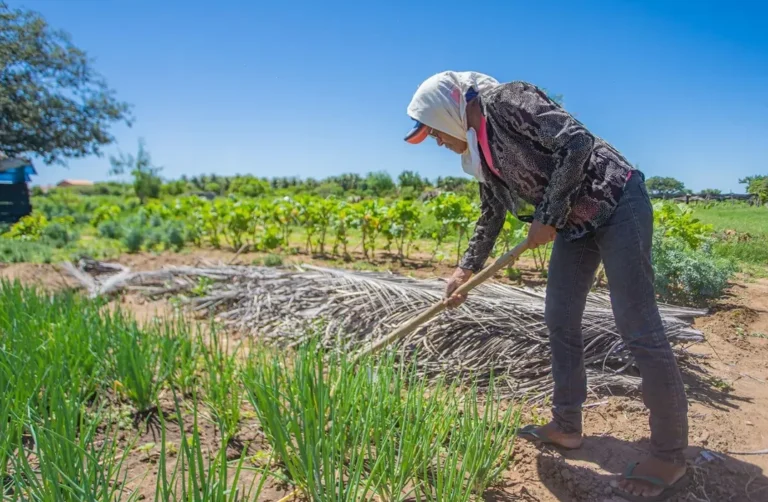 Atenção, agricultores de juazeiro! O pagamento do Garantia-Safra 2023/2024 começa nesta terça (18)! Atenção, agricultores de juazeiro! O pagamento do Garantia-Safra 2023/2024 começa nesta terça (18)!